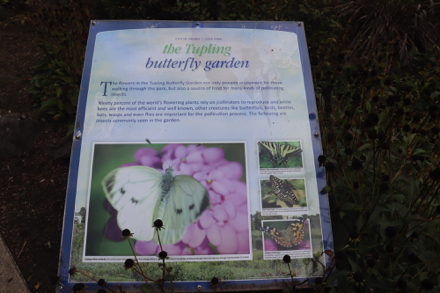 Informational sign at the butterfly garden
